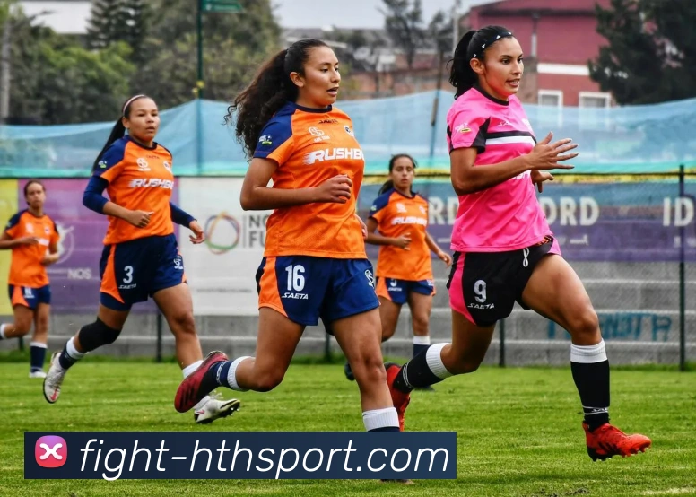 hth体育服务体系