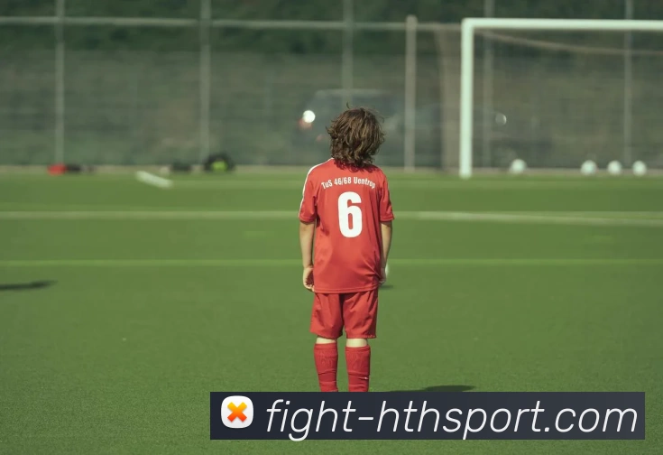 hth体育APP 封面图